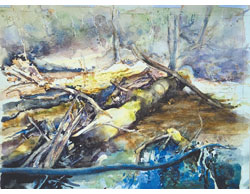 Swamp Logs by Peter McLean
